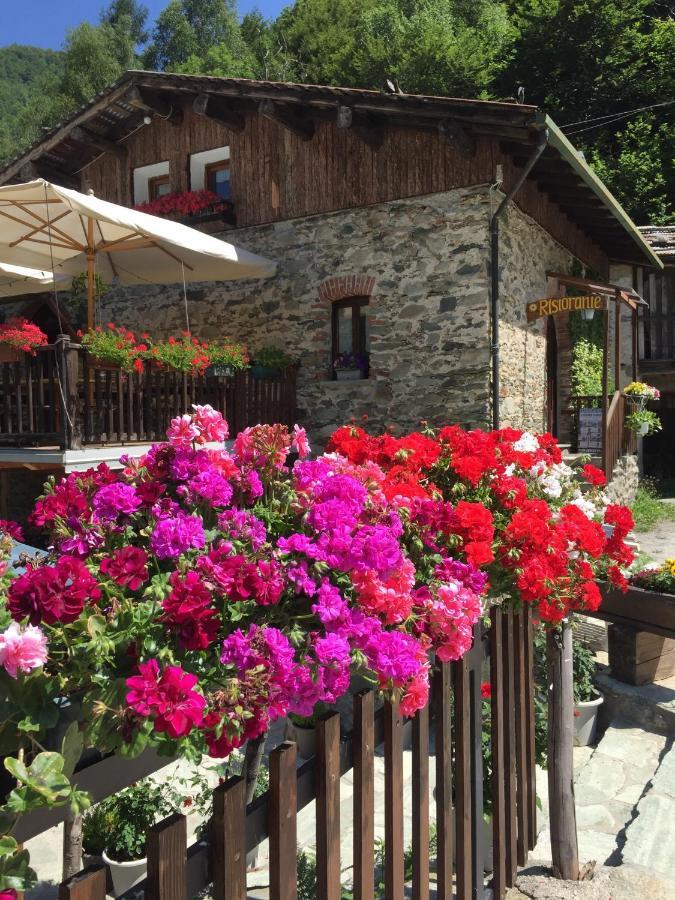 B&B Vinicola23 Limone Piemonte Quarto foto